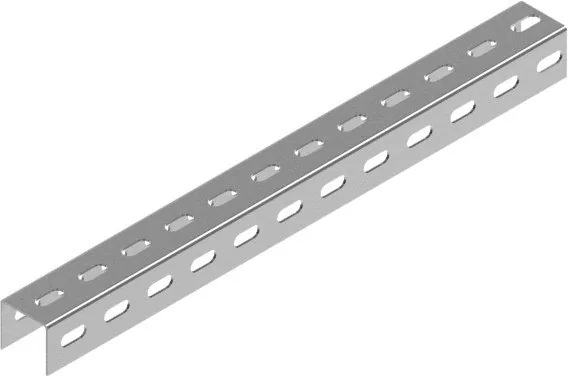 BAKS CC55H50 Steigleiter Vertikales System